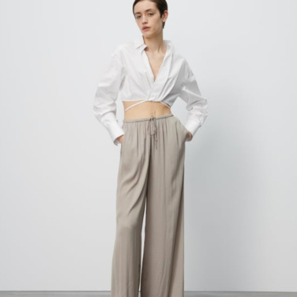 Zara crop top